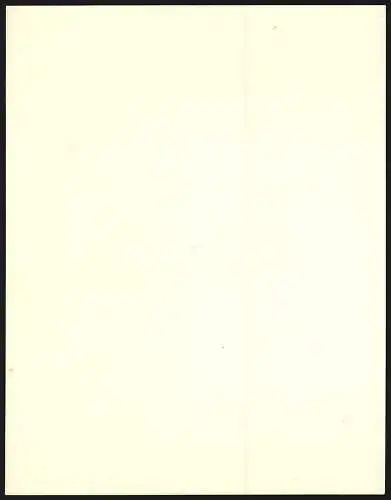 Rechnung Wipperfürth 1906, Carl Meurer Nachf., Colonial-Waaren, Mühlen-Fabrikate, Landes-Producte, Betriebsansicht