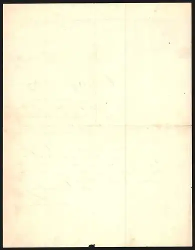 Rechnung Winterthur 1894, F. Schneider, Sternen-Apotheke, Ansicht der Ladenfront mit Schaufenster