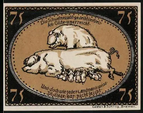 Notgeld Kreis Diepholz 1921, 75 Pfennig, Schweine-Familie, Schloss