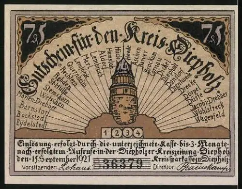 Notgeld Kreis Diepholz 1921, 75 Pfennig, Schweine-Familie, Schloss