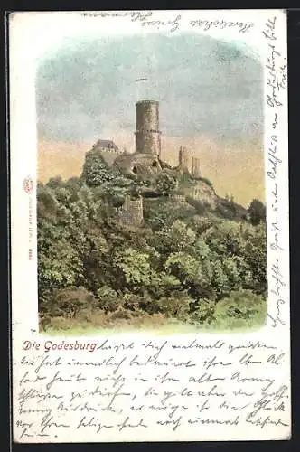 AK Godesburg, Blick auf die Burgruine