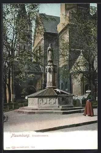 AK Naumburg / Saale, Spaziergängerin am Dombrunnen