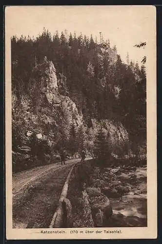 AK Zöblitz i. Erzgeb., Wegpartie am Katzenstein
