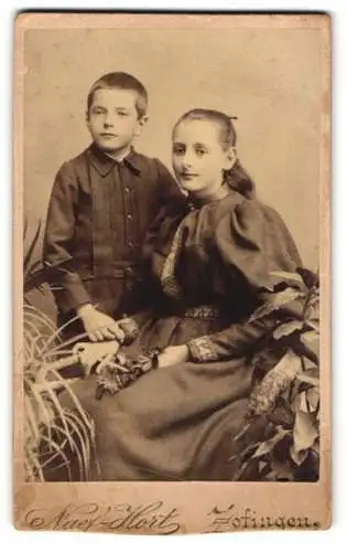 Fotografie Naef-Hort, Zofingen, Luzernerstrasse, Bürgerliches Mädchen im dunklen Kleid mit ihrem kleinen Bruder
