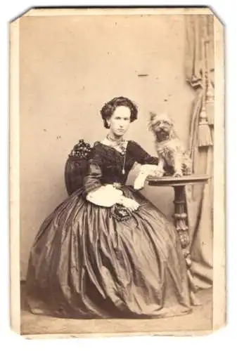 Fotografie A. Eberlein, Berlin, junge Dame im Reifrockkleid mit ihrem Hund auf dem Tisch