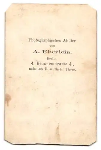 Fotografie A. Eberlein, Berlin, junge Dame im Reifrockkleid mit ihrem Hund auf dem Tisch