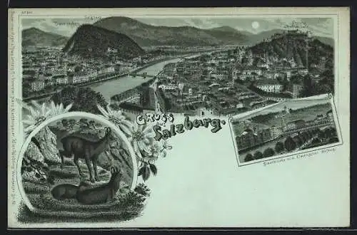 Mondschein-Lithographie Salzburg, Stadtbrücke mit elektrischem Aufzug, Bergziegen, Totalansicht mit Bergen