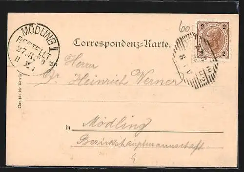 AK Reichenau, Ortsansicht aus der Vogelschau