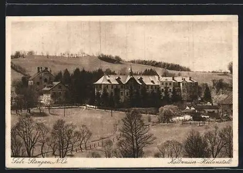 AK Sulz-Stangau, Kaltwasser-Heilanstalt mit Umgebung