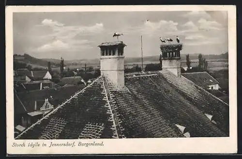 AK Jennersdorf, Storchennester mit Ortsblick