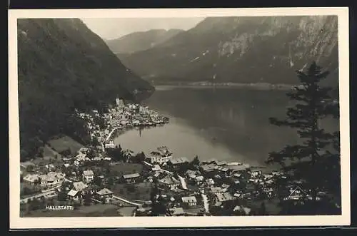 AK Hallstatt, Teilansicht mit Bergen