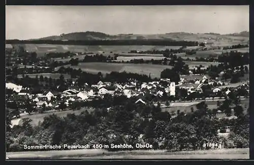 AK Peuerbach /Ob.-Oe., Teilansicht