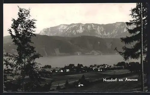 AK Nussdorf am Attersee, Teilansicht mit Bergen