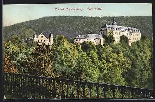 AK Schwarzburg /Thr. Wald, Schloss Schwarzburg