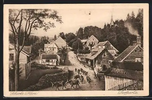 AK Schierke /Harz, Dorfpartie mit Rindern