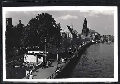 AK Frankfurt /Main, Uferpartie mit Kirche