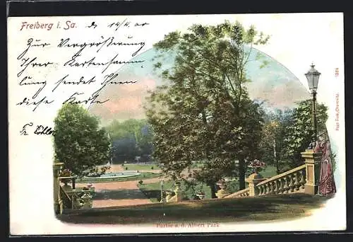 AK Freiberg i. Sa., Partie aus dem Albert-Park