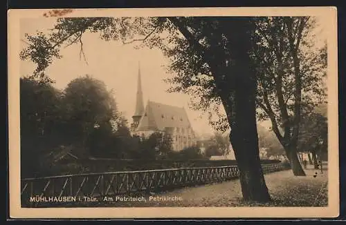 AK Mühlhausen / Thür., am Petriteich und Blick auf die Petrikirche