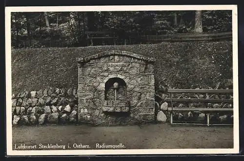 AK Stecklenberg i. Ostharz, Blick zur Radiumquelle