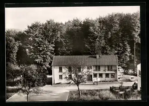 AK Seidenbuch /Odw., Hotel-Pension-Café Bellevue