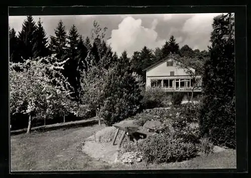 AK Sensbachtal-Reisenkreuz /Odw., Hotel-Pension Schmidsruhe