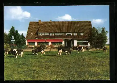 AK Bad Oeynhausen, Café Sonnenschein, Gartenstr. 1