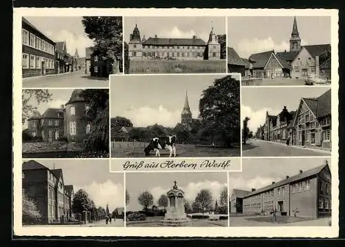 AK Herbern i. Westf., Schloss, Denkmal, Strassenpartie und Schule