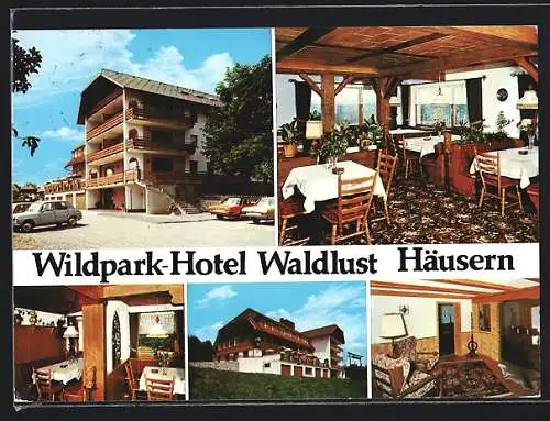 AK Häusern /Schwarzwald, Wildpark-Hotel Waldlust