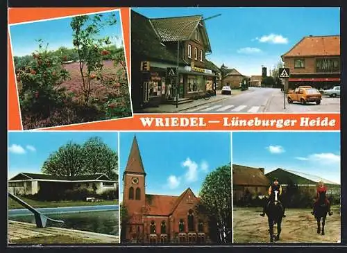 AK Wriedel /Lüneburger Heide, Strassenpartie, Kirche, Schwimmbad und Heidelandschaft