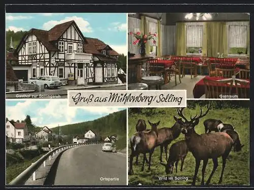 AK Mühlenberg /Solling, Gasthof zur Sollingsruh