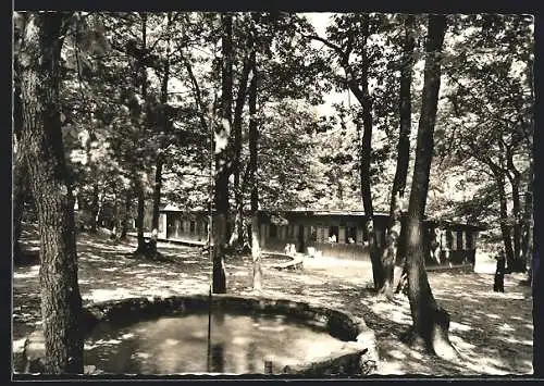 AK Arcegno, Campo Enrico Pestalozzi