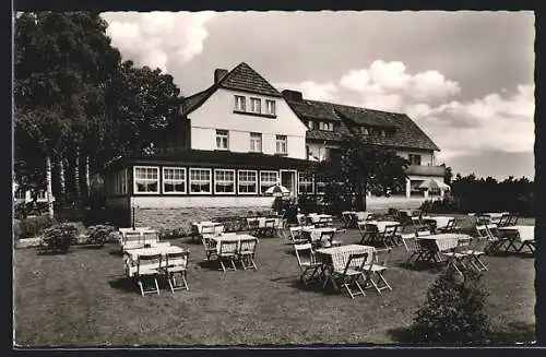 AK Neuhaus / Solling, Hotel Zur Linde, Bes. M. Klein