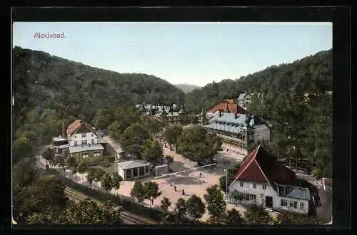 AK Alexisbad, Blick über die Ortschaft