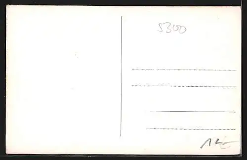 AK Bad Godesberg a. Rh., Gasthaus Lindenwirtin, Ortsansicht aus der Vogelschau