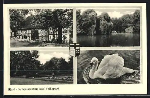 AK Marl, Heimatmuseum und Volkspark, Stadtwappen