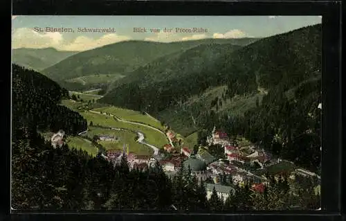 AK St. Blasien /Schwarzwald, Blick von der Preen-Ruhe