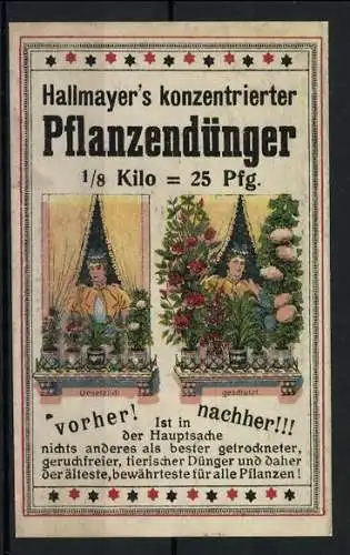 Reklamemarke Hallmayer's konzentrierter Pflanzendünger, Pflanzenwachstum vor und nach dem Düngen