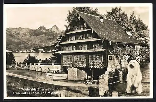 AK Vierwaldstättersee, Treib mit Brunnen und Mythen