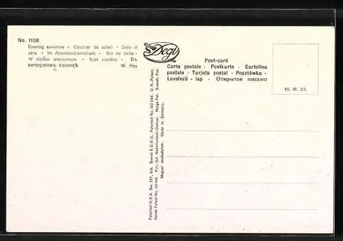 Künstler-AK Degi Nr. 1138: Im Abendsonnenschein von W. Hoy