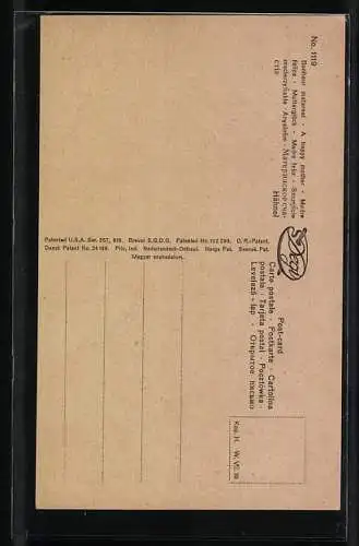 Ölgemälde-Imitations-AK Degi Nr. 1119: Mutterglück