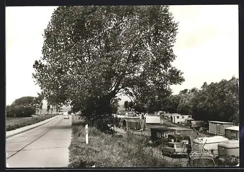 AK Boltenhagen / Ostseebad, Zeltplatz Niendorfer Weg