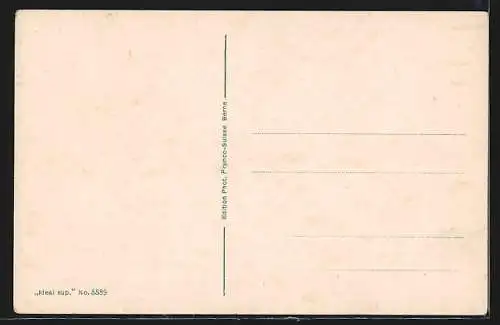 AK Burgdorf, Blick zum Schloss