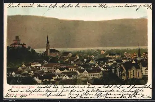 AK Uster, Generalansicht mit Kirche und Schloss