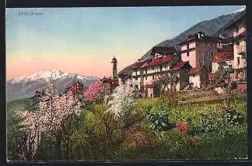 AK Brione, Teilansicht mit Alpenpanorama