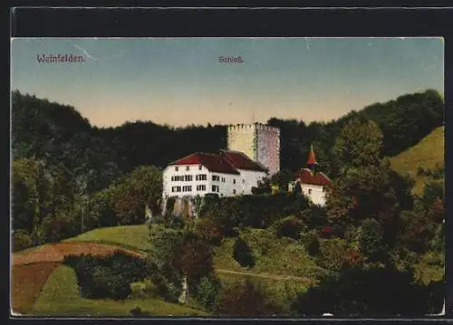 AK Weinfelden, Blick zum Schloss