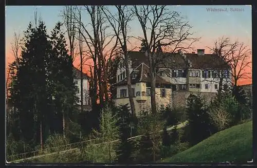 AK Wädenswil, Blick zum Schloss