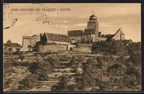 AK Neustadt im Odenwald, Blick zur Burg Breuberg