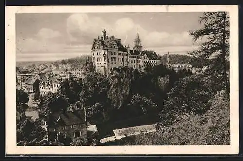 AK Sigmaringen, Teilansicht mit Blick zum Schloss