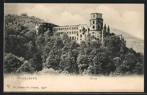 AK Heidelberg, Blick zum Schloss