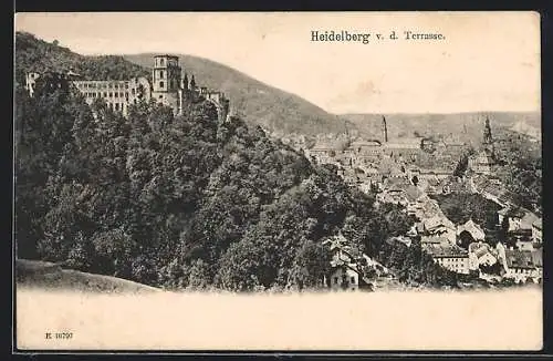 AK Heidelberg, Blick von der Terrasse zum Schloss